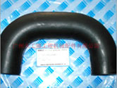 ھC(j)-L(fng)LP11P01009P1